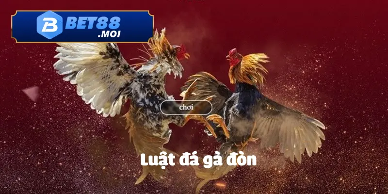 Luật chơi đá gà đòn BET88 – Cách phân định thắng thua